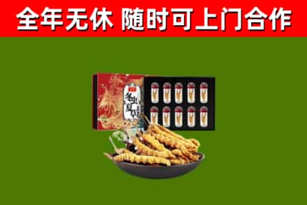 华容回收冬虫夏草价格
